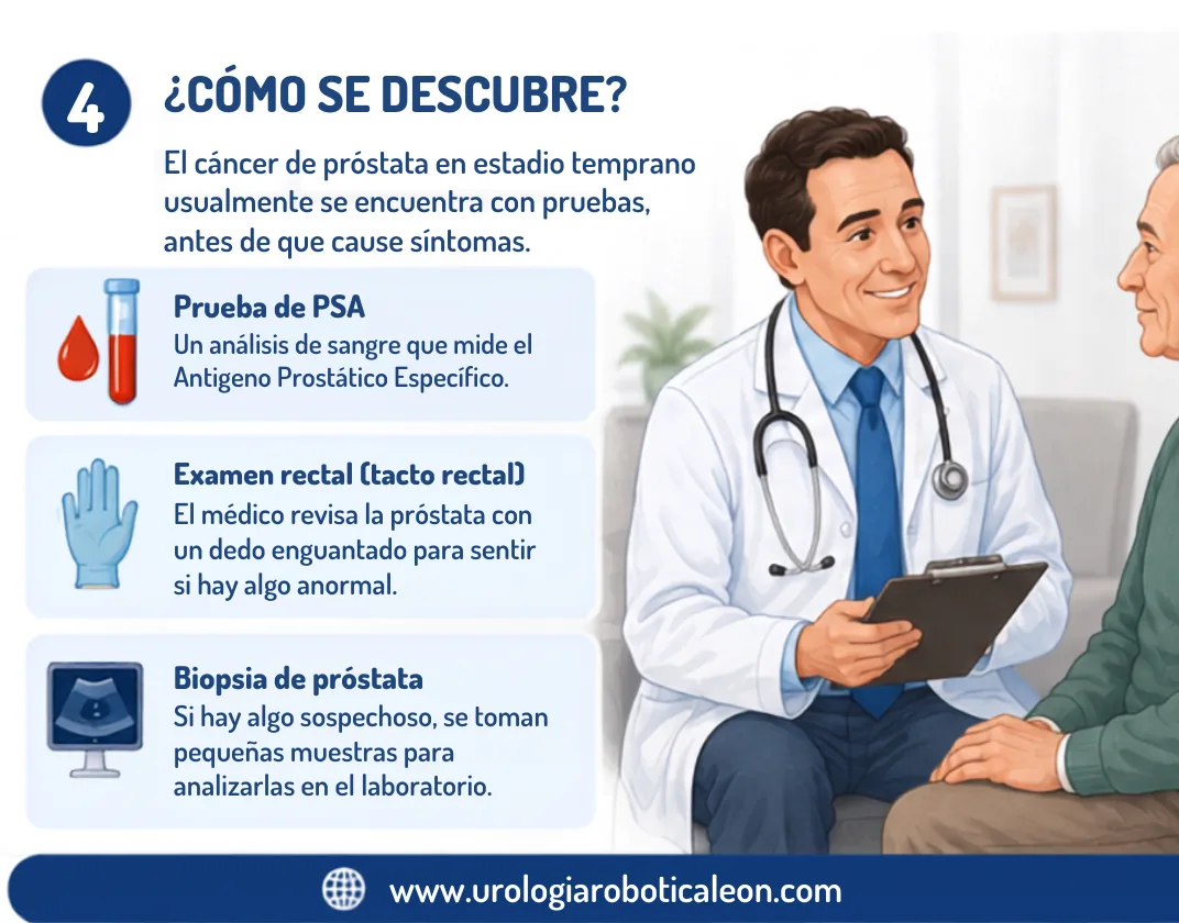 Infografía: cómo se detecta el cáncer de próstata — prueba de PSA en sangre, examen rectal y biopsia de próstata